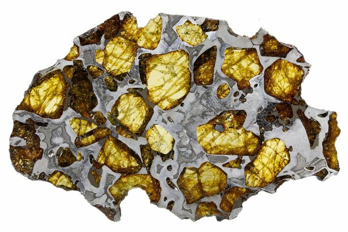 Polished Imilac Pallasite Meteorite (g) Slice #302093